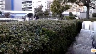 国产精品jjjj,成人视频高清免费观看